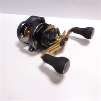 ２１ソルティガＩＣ１００ＰーＤＨ